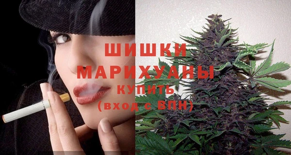 мдпв Кукмор