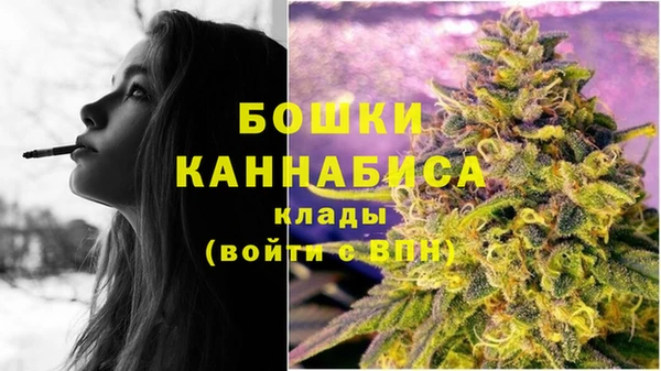 мдпв Кукмор
