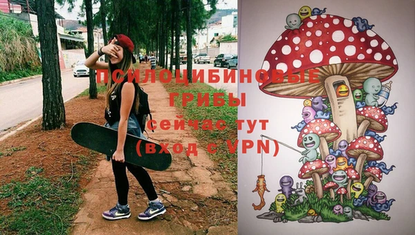 трава Куйбышев