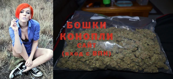 трава Куйбышев