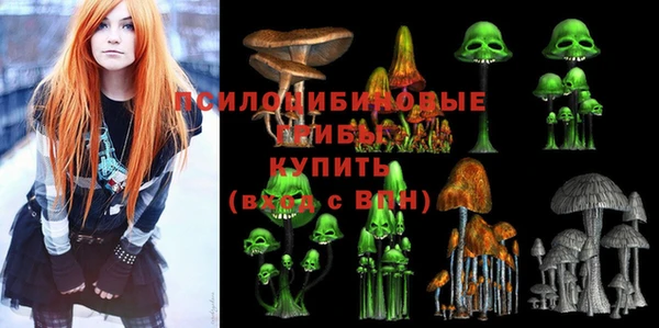тгк Кулебаки