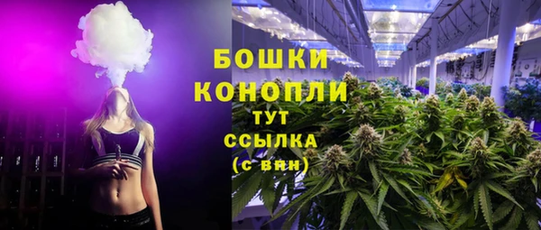 тгк Кулебаки