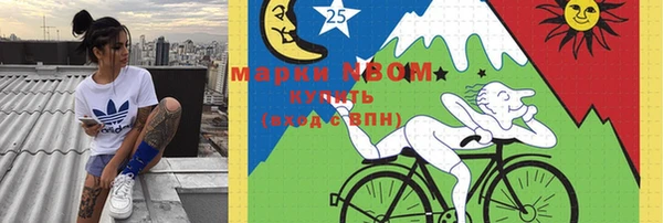 тгк Кулебаки
